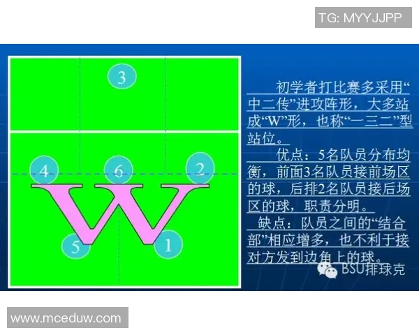 广州排球队配合策略分析与战术提升探讨